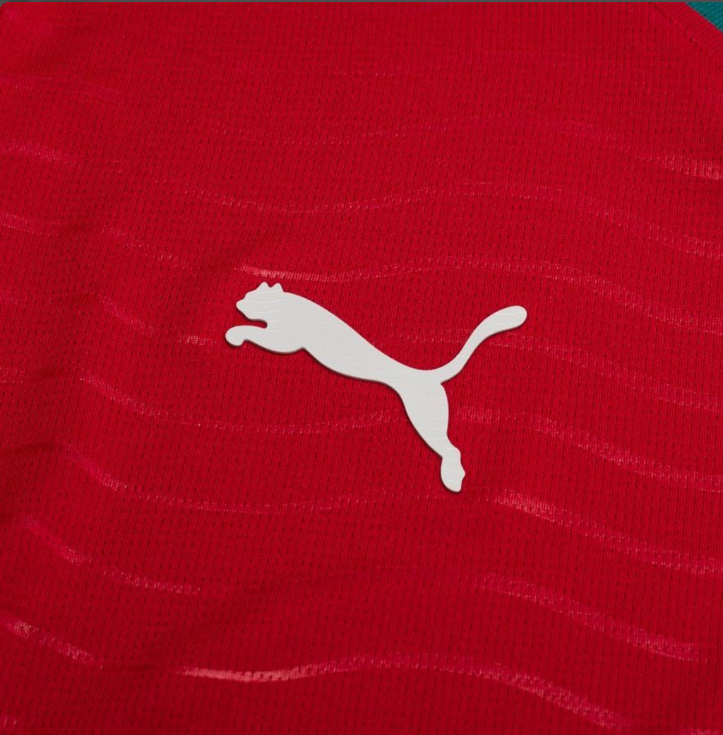 Portugal 2026 World cup Home kit