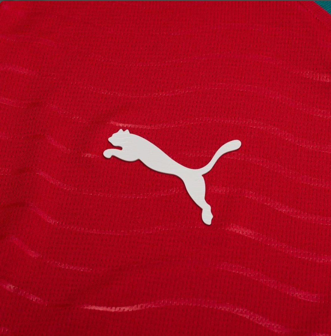 Portugal 2026 World cup Home kit